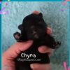 Chyna - Image 4