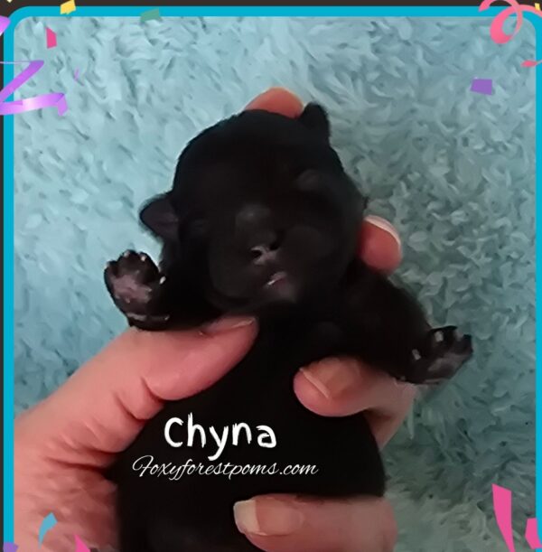 Chyna - Image 4