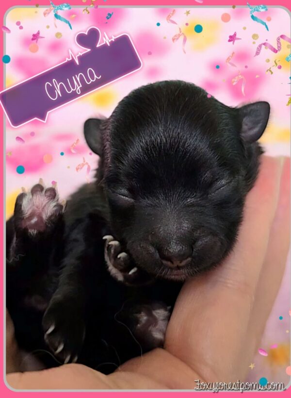 Chyna - Image 3