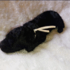 Socks - Image 3