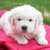 Sully - Image 2